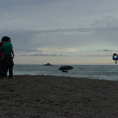 GirlsWildCat 049 : GirlsWildCat